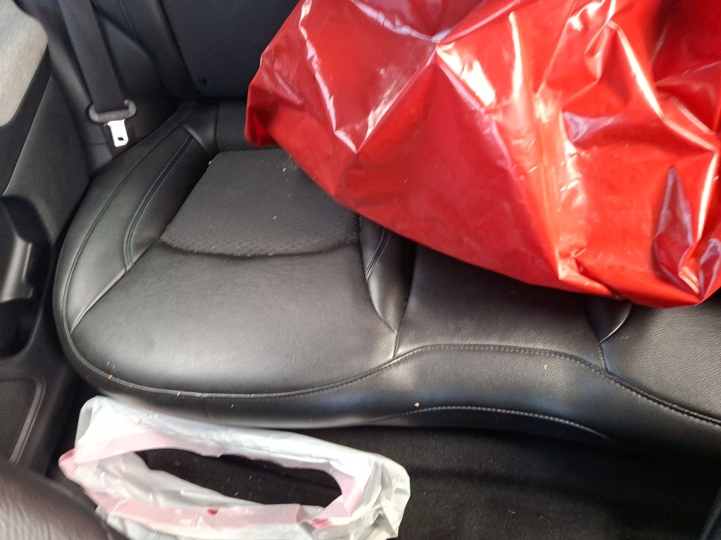 image_47.JPEG