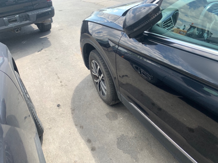 image_19.JPEG