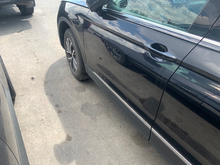 image_20.JPEG