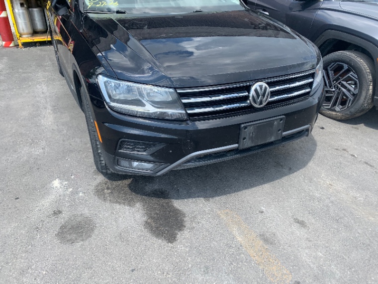 image_50.JPEG