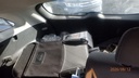 image_19.JPEG