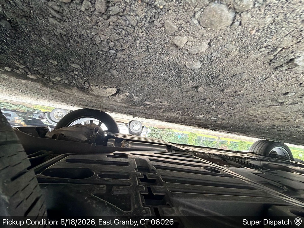image_3 (1).JPEG