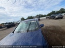 image_11.JPEG