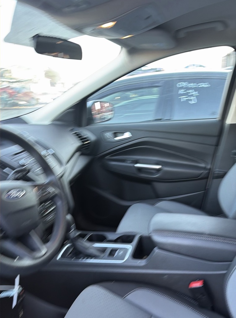 image_34.JPEG