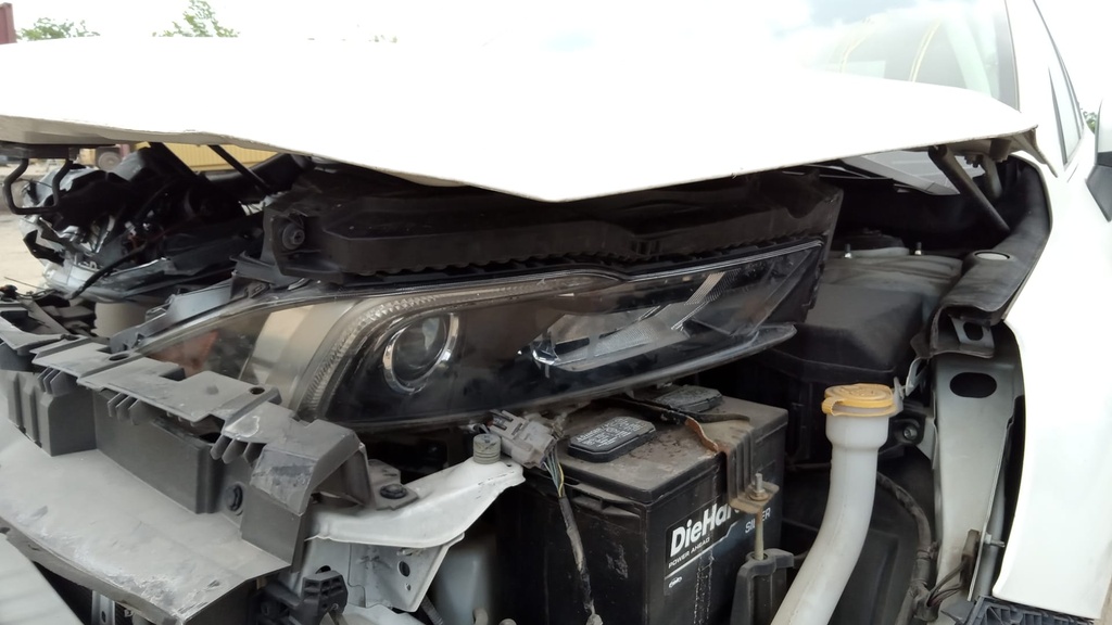 image_13.JPEG