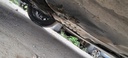 image_8.JPEG