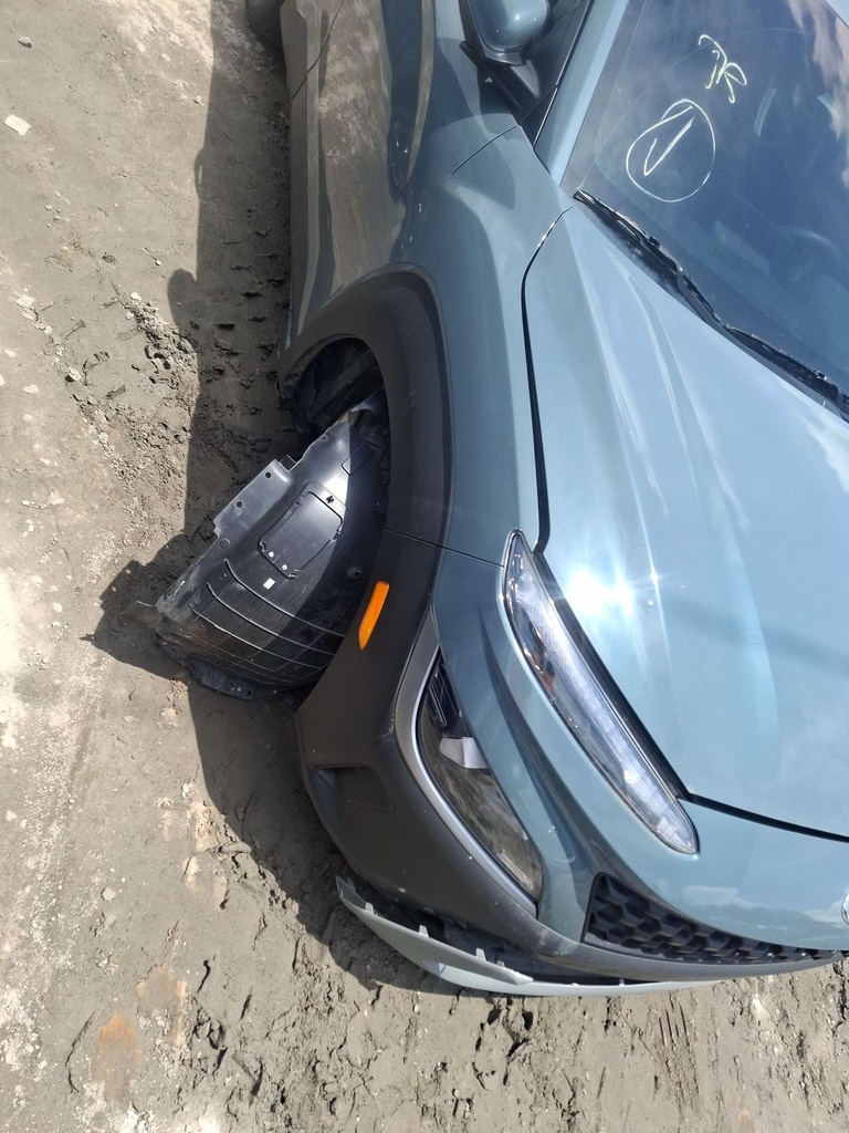 image_37.JPEG