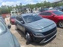 image_40.JPEG