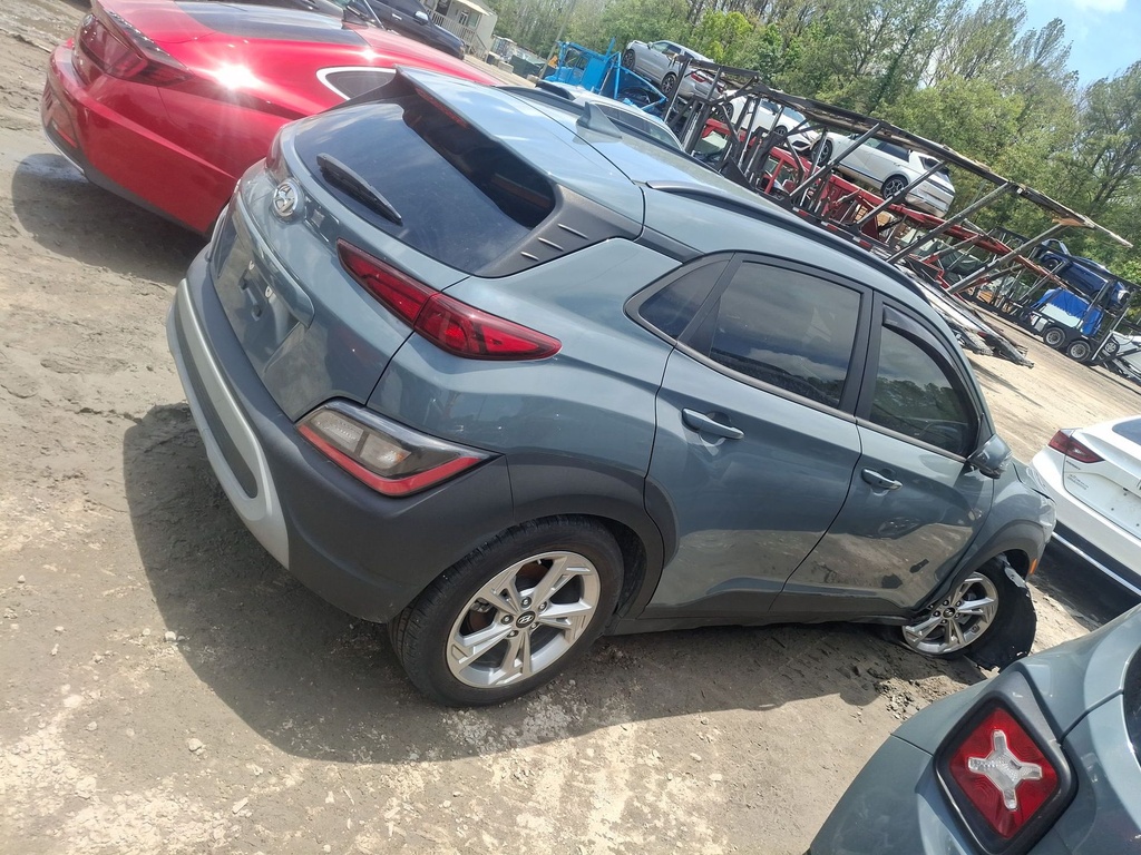 image_41.JPEG
