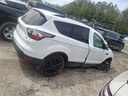 image_17.JPEG