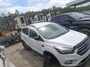 image_27.JPEG