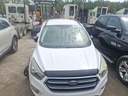 image_29.JPEG