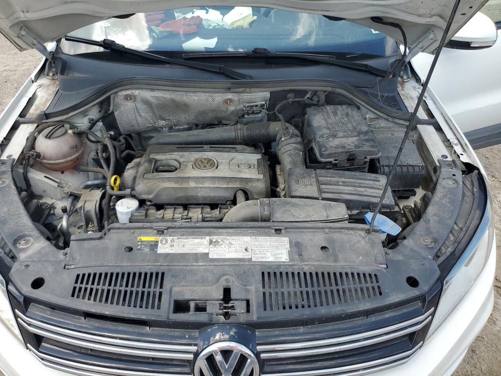 54779595_Image_12.jpg