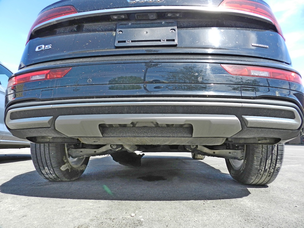DSCN6617.JPG