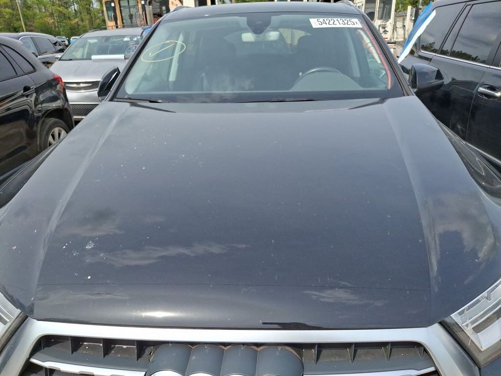 image_31.JPEG