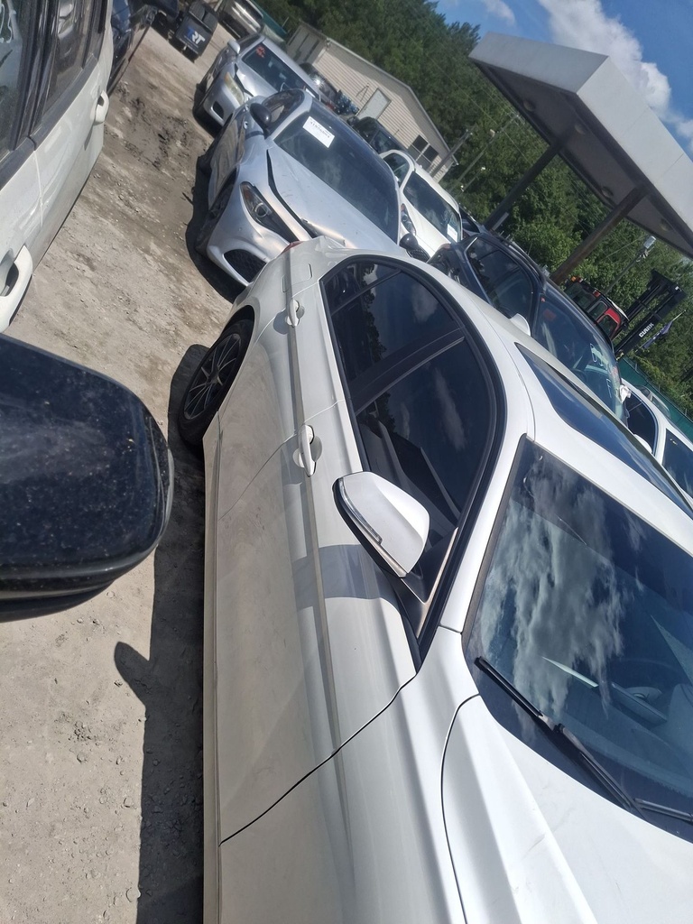 image_44.JPEG