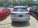 image_37.JPEG