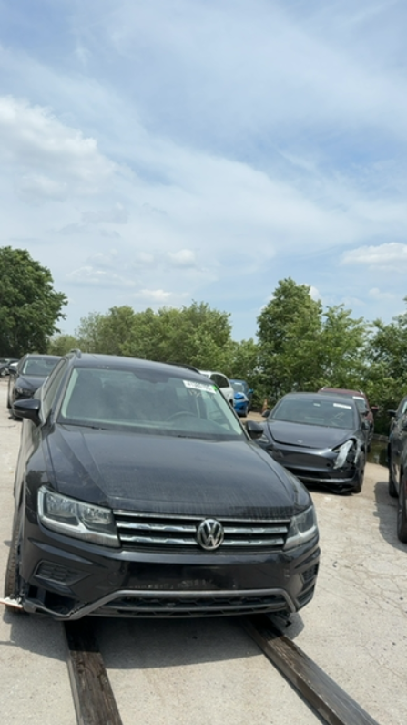 image_33.JPEG
