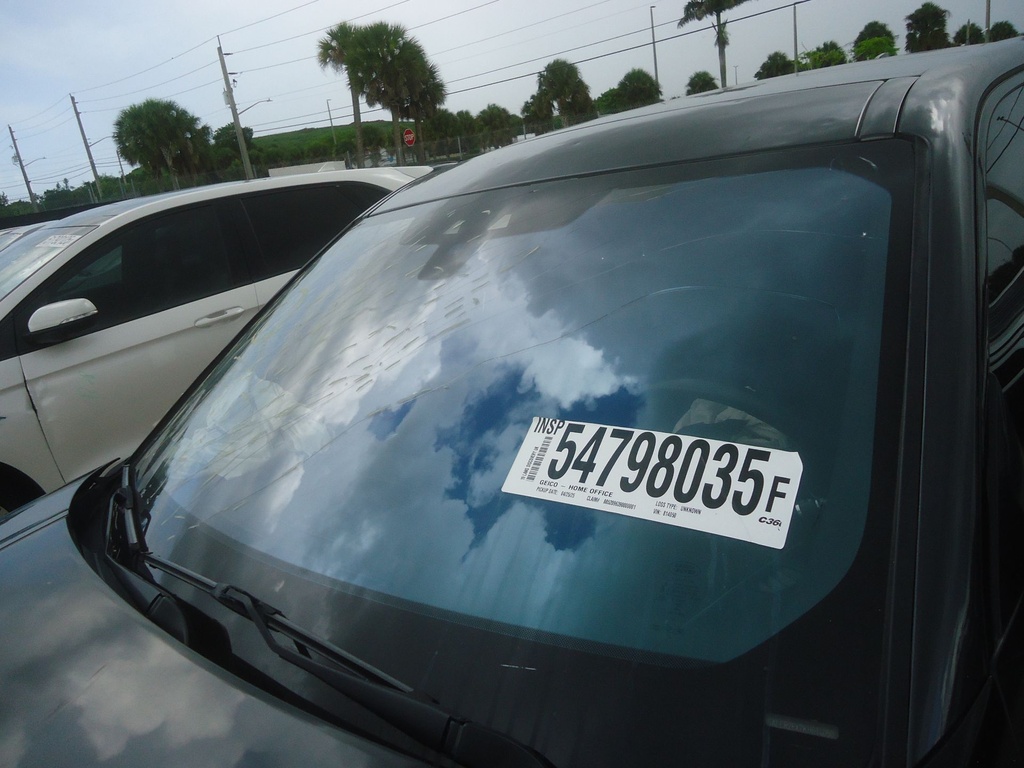 image_35.JPEG