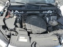 53795045_Image_12.jpg
