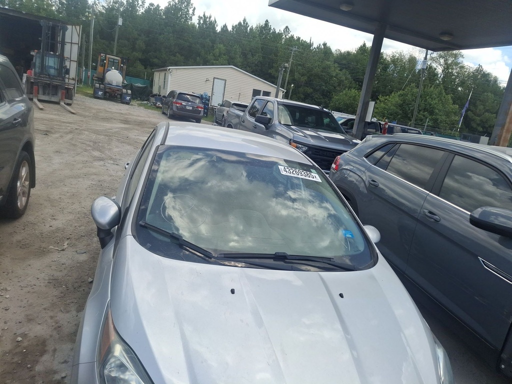 image_38.JPEG