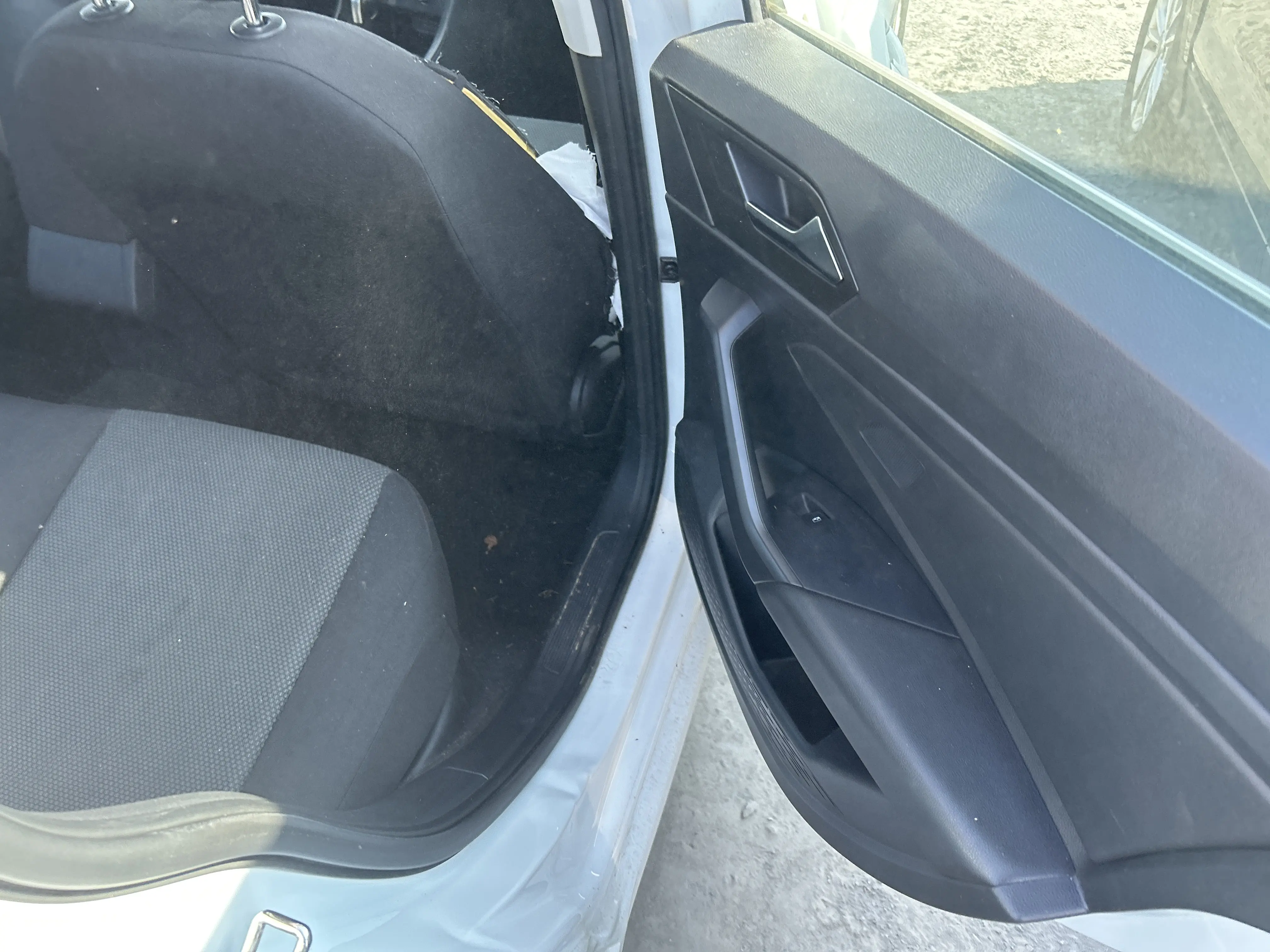 image_31.JPEG