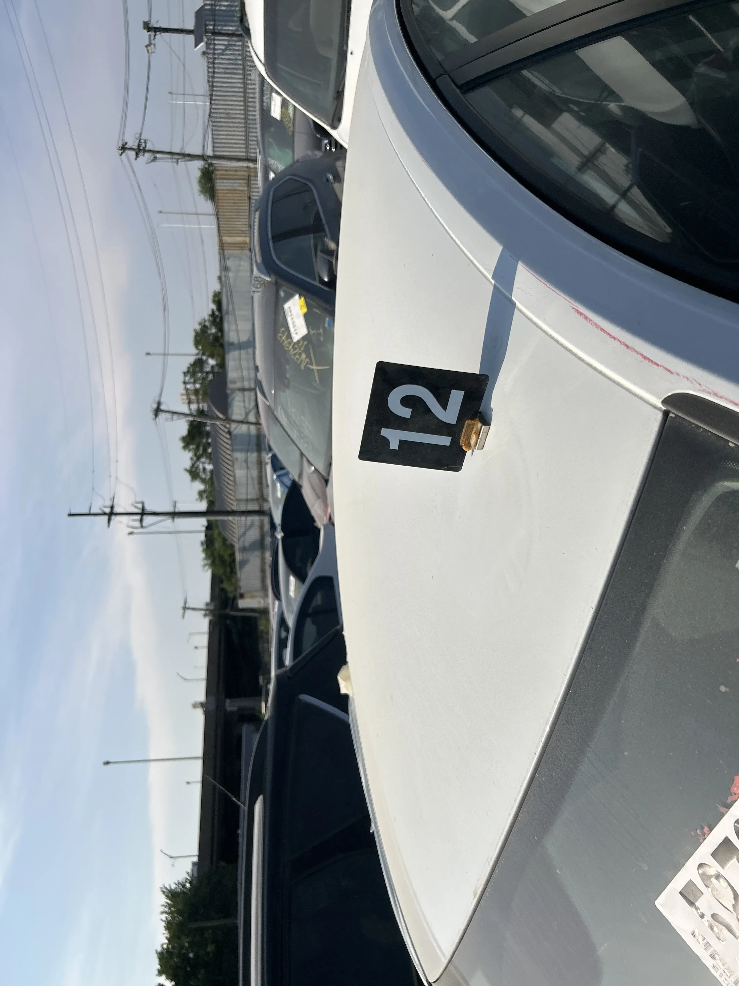 image_44.JPEG