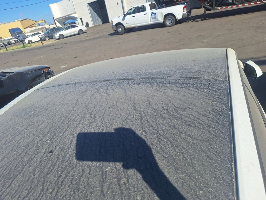image_31.JPEG