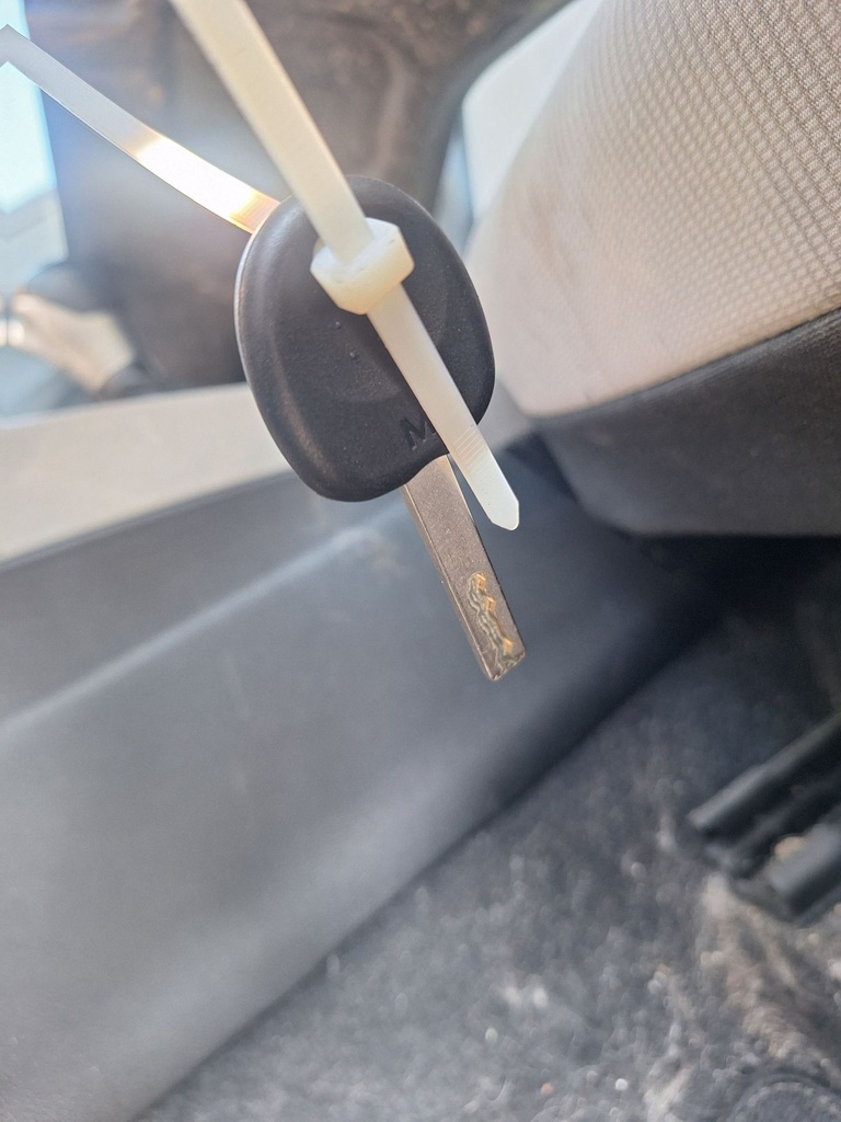 image_17.JPEG