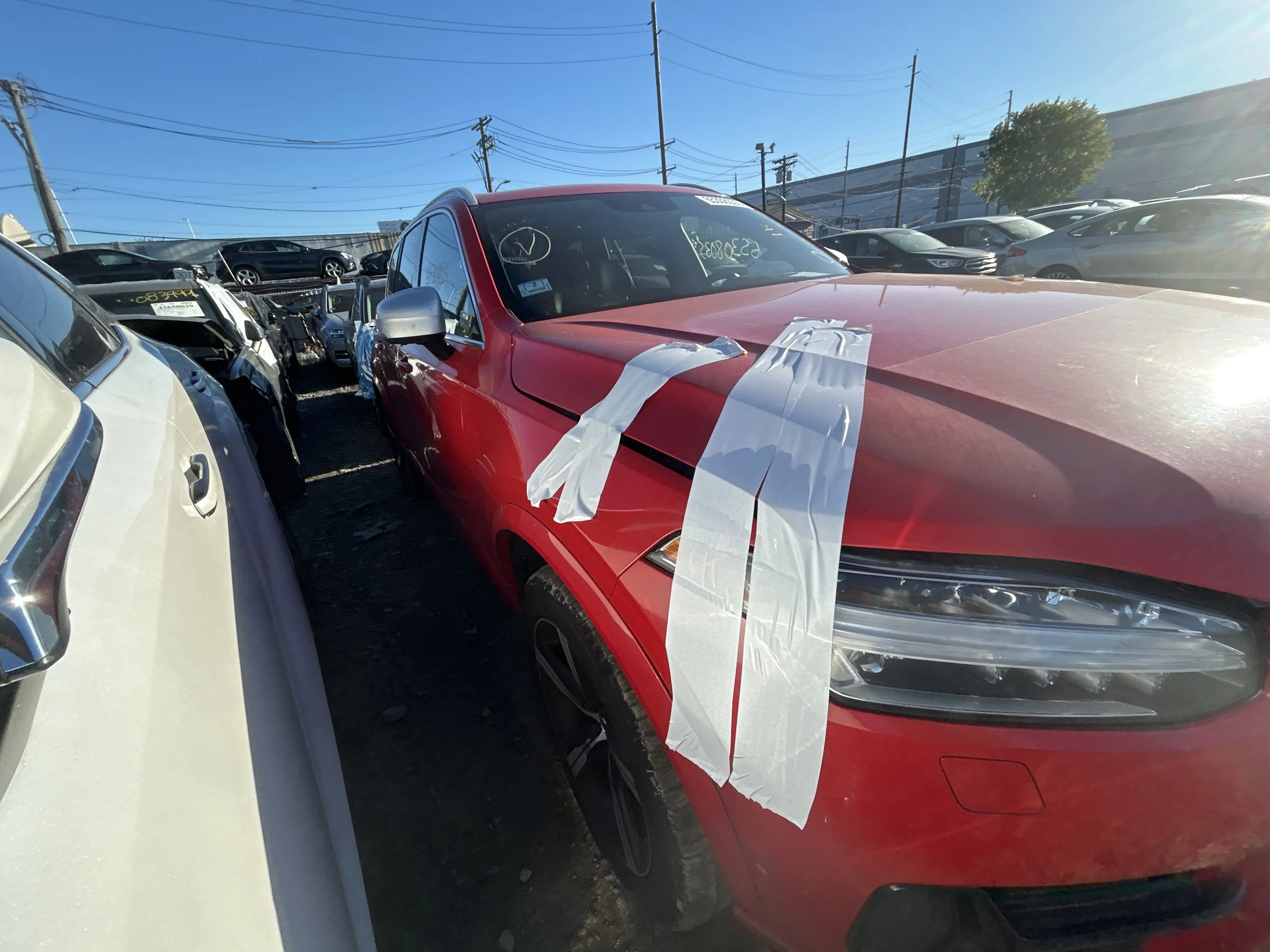 image_24.JPEG