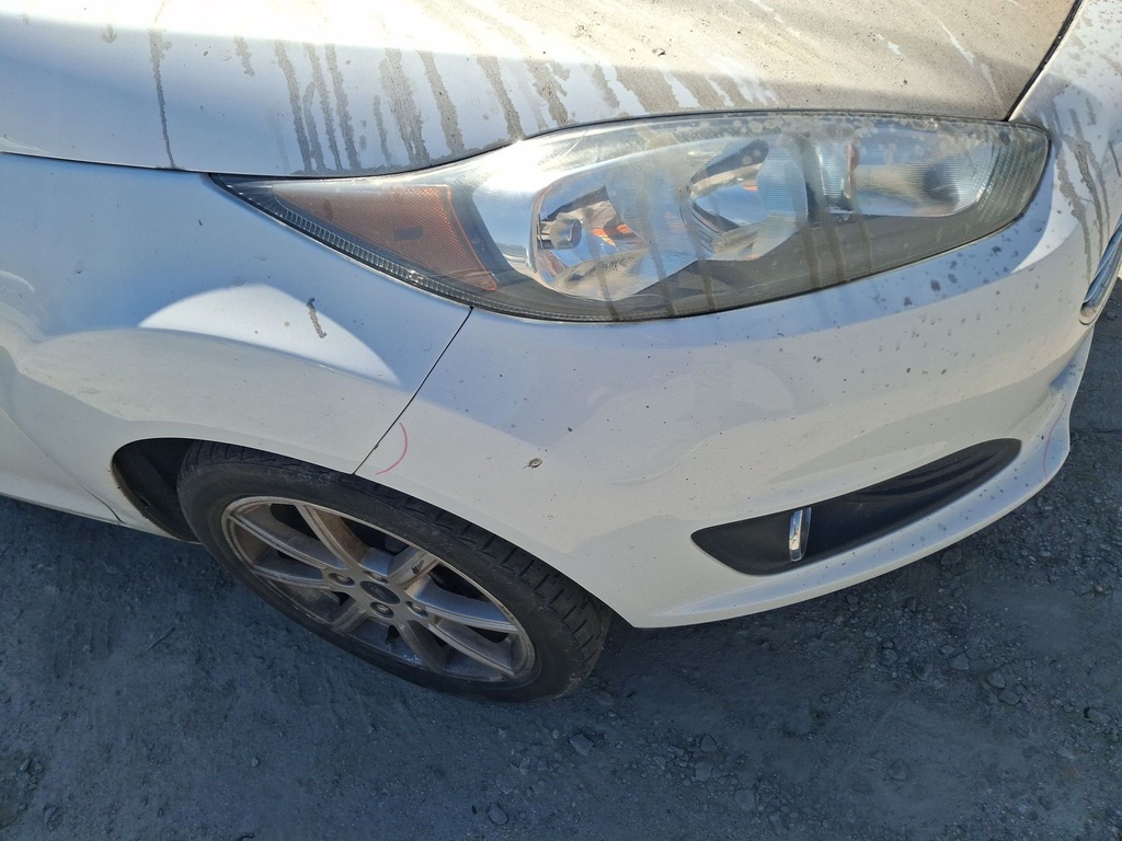 image_22.JPEG