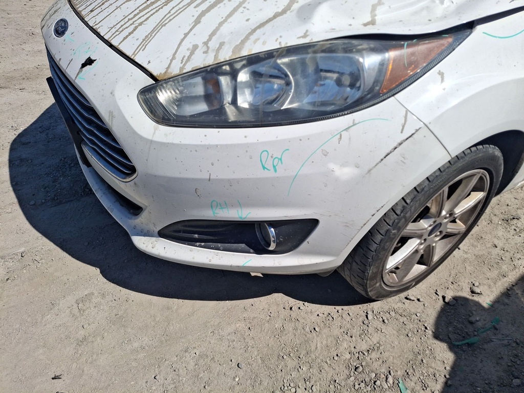 image_25.JPEG