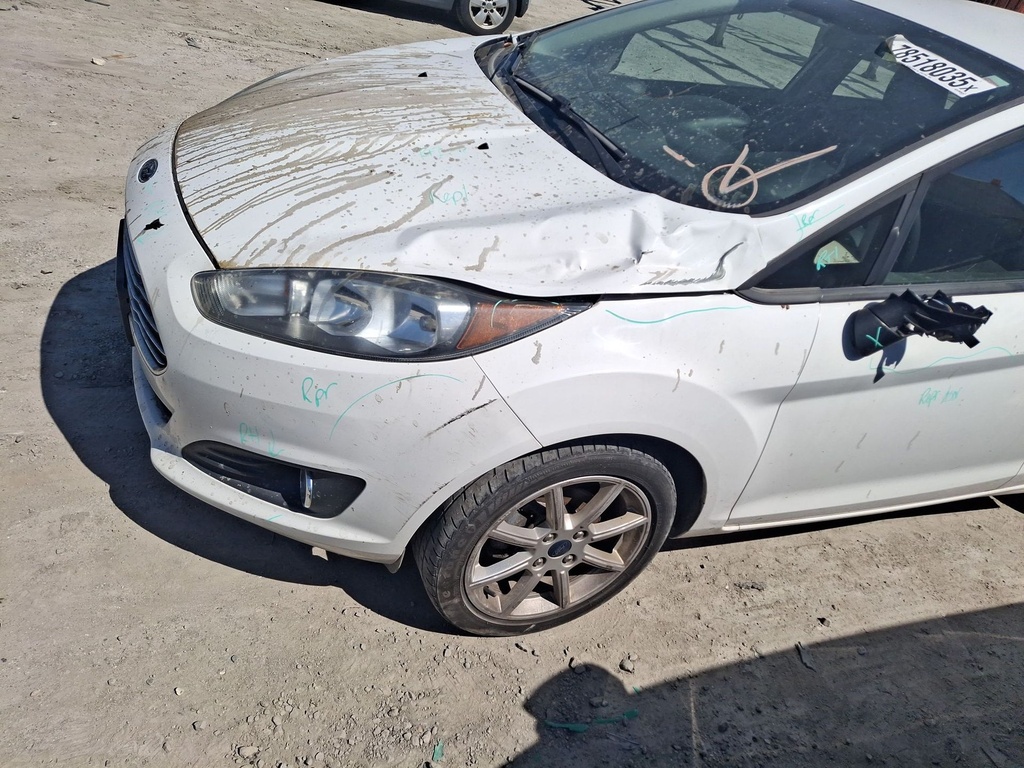 image_29.JPEG