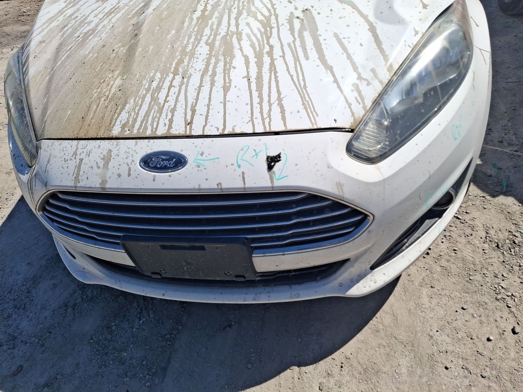 image_31.JPEG
