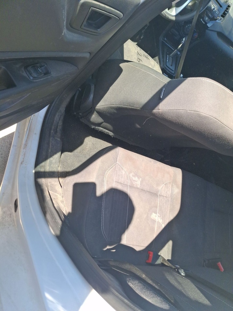 image_65.JPEG