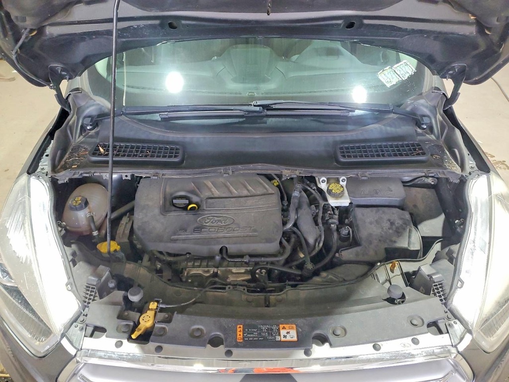 47781656_Image_12.jpg