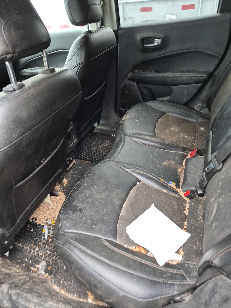 image_15 (1).JPEG