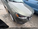 image_33.JPEG