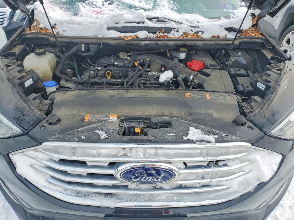 73557115_Image_11.jpg