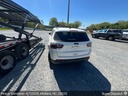 image_1 (1).JPEG