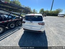 image_3 (1).JPEG