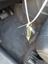 image_10 (1).JPEG