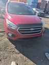 image_19.JPEG