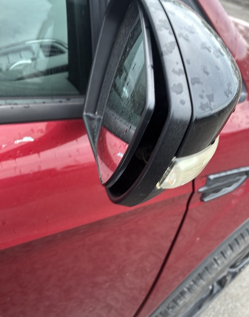 image_36.JPEG