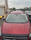 image_41.JPEG
