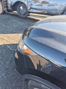 image_25.JPEG
