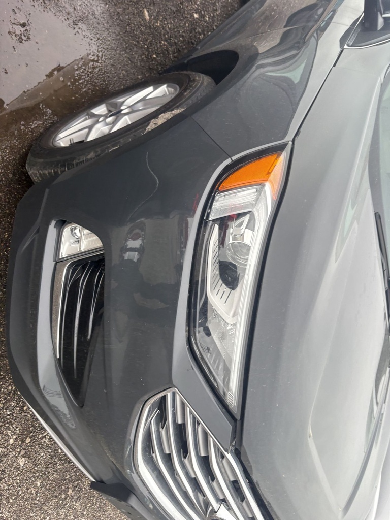 image_3 (1).JPEG