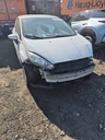 image_25.JPEG