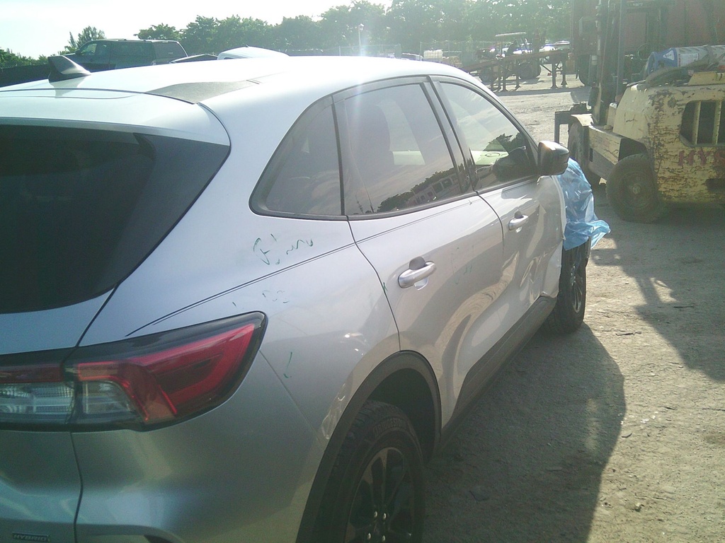image_22.JPEG