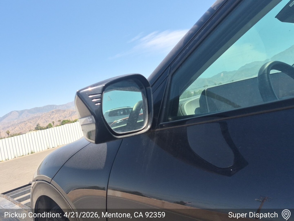 image_2 (1).JPEG